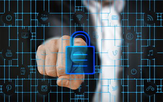 开云真人体育娱乐-体育特许经营管理制度构建与案例研究，体育行业特有职业培训试点单位